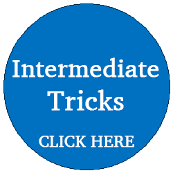 Intermediate Trick Training (1 to 1)