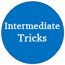 Intermediate Trick Training (1 to 1)