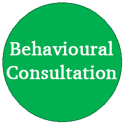 Behavioural Consultation (1 to 1)