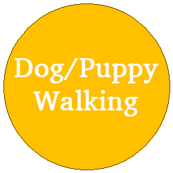 Dog and Puppy Walking